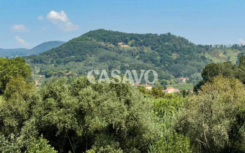 Appartamento viale Casapieri 195, Vecchiano — foto 18 di 23