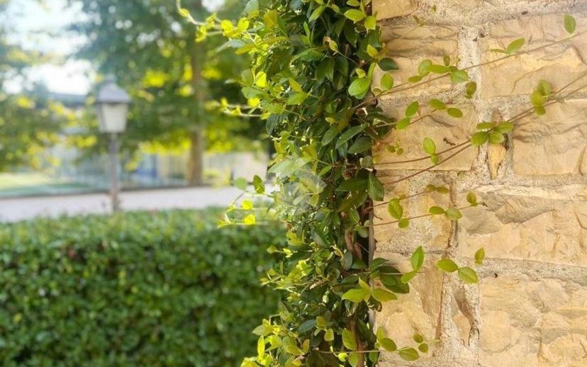 Villa bifamiliare via Libertà 42, Centro, Turate — foto 3 di 44