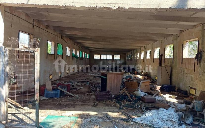 Villa plurifamiliare via Matilde Serao, Centro, Veglie — foto 13 di 39