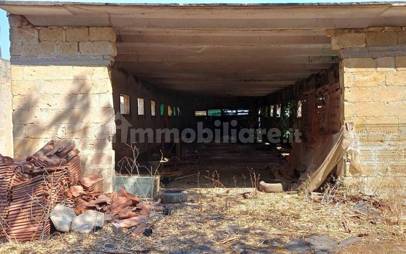 Villa plurifamiliare via Matilde Serao, Centro, Veglie — foto 29 di 39