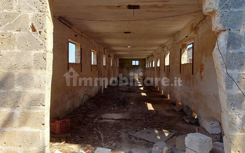 Villa plurifamiliare via Matilde Serao, Centro, Veglie — foto 15 di 39