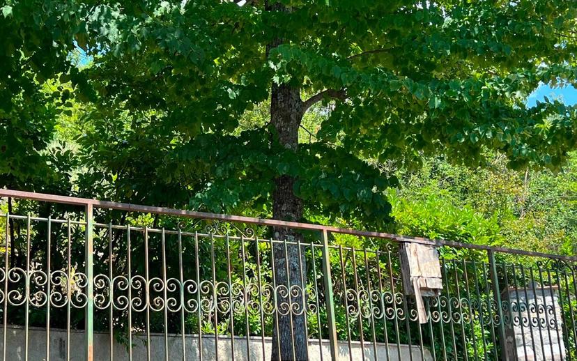 Villa bifamiliare Località Vaccareccia, Monte San Giovanni in Sabina — foto 16 di 47