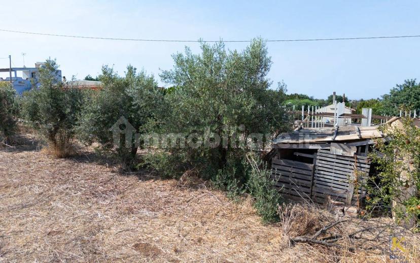 Villa unifamiliare Contrada Spinazza, Santa Croce Camerina — foto 47 di 66