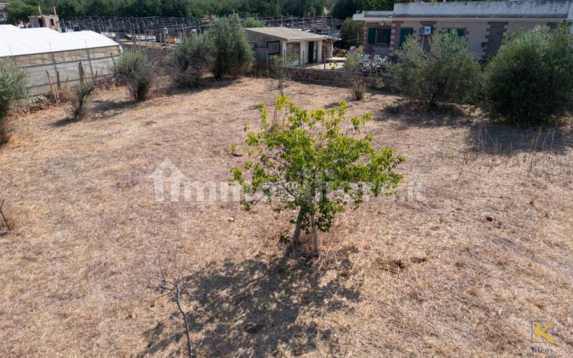 Villa unifamiliare Contrada Spinazza, Santa Croce Camerina — foto 57 di 66