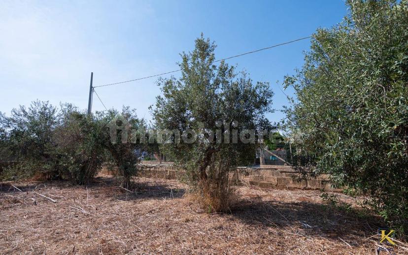 Villa unifamiliare Contrada Spinazza, Santa Croce Camerina — foto 7 di 66