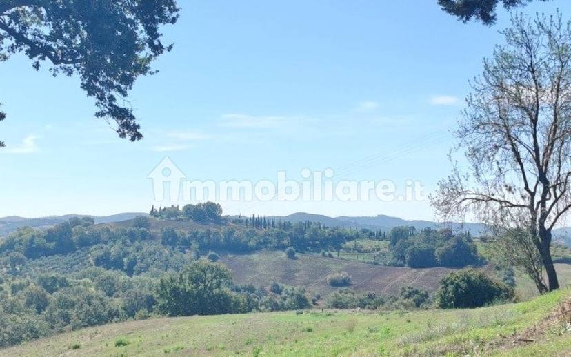 Cascina Strada Regionale Maremmana, Manciano — foto 16 di 27