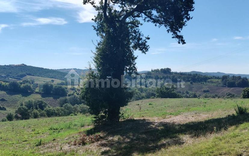 Cascina Strada Regionale Maremmana, Manciano — foto 17 di 27
