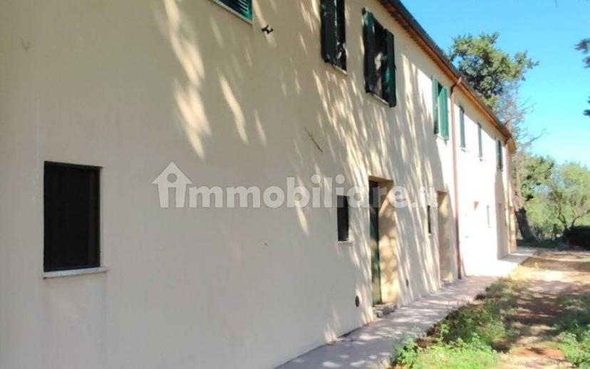 Cascina Strada Regionale Maremmana, Manciano — foto 19 di 27