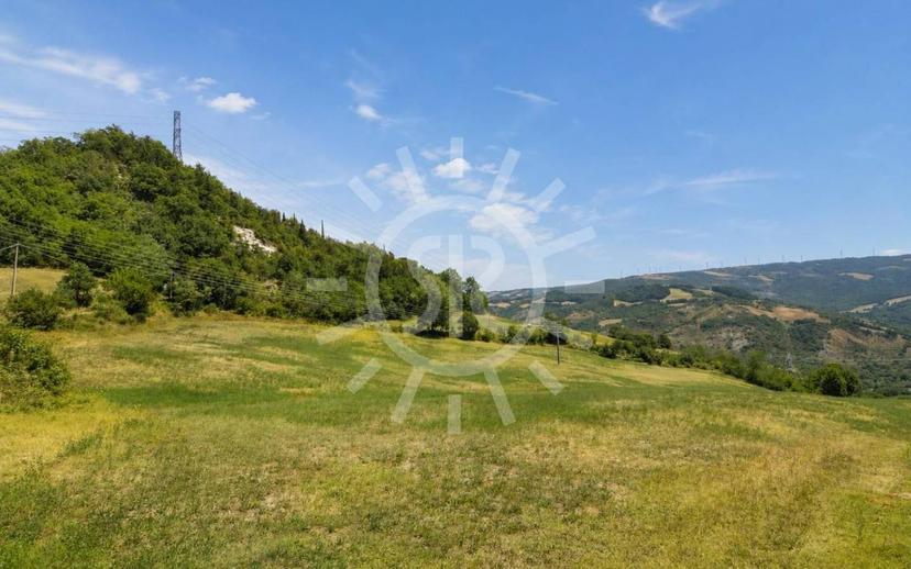 Trilocale da ristrutturare, piano terra, Quinzano, Loiano — foto 8 di 15
