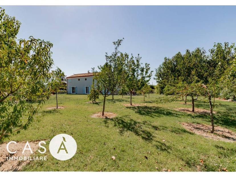Terratetto unifamiliare via pascoli 2436, Gambettola — foto 10 di 24