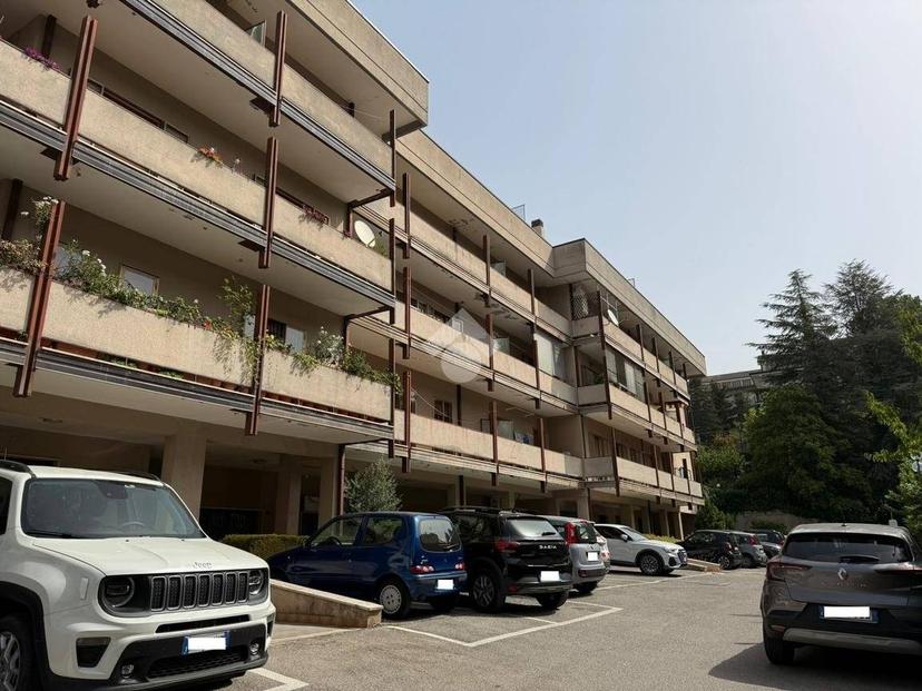 Appartamento via Livorno 105, Centro, Potenza — foto 9 di 42