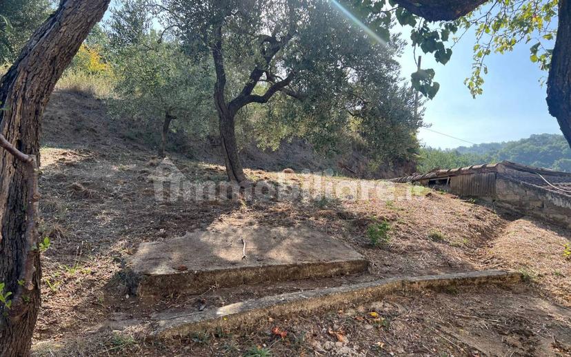 Terratetto unifamiliare via Fontana, Pagliara, San Nicola Manfredi — foto 6 di 20