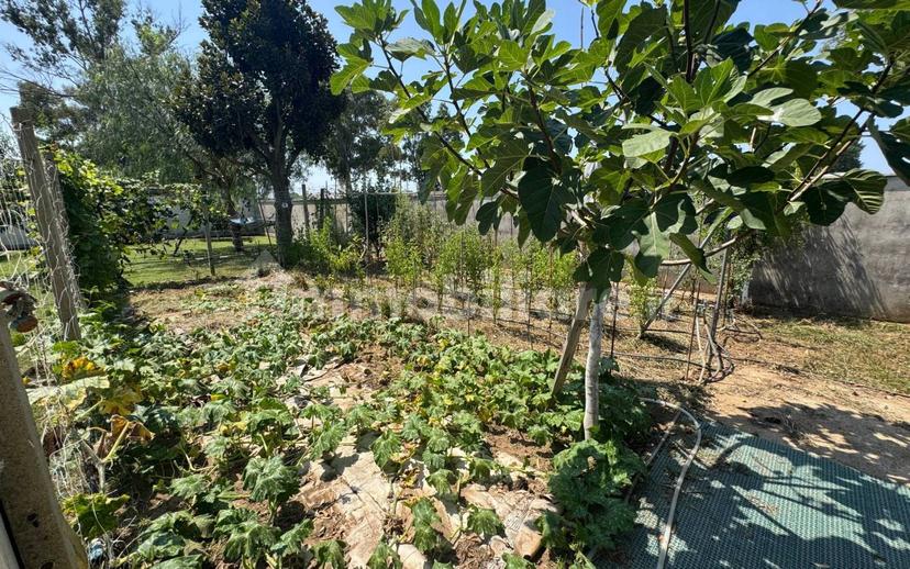 Villa unifamiliare via Terracina 397, Centro, San Felice Circeo — foto 41 di 125