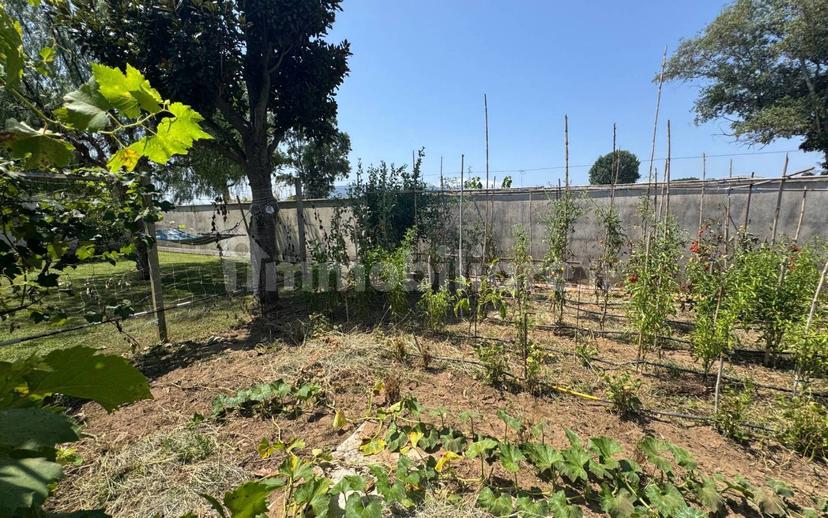 Villa unifamiliare via Terracina 397, Centro, San Felice Circeo — foto 7 di 125