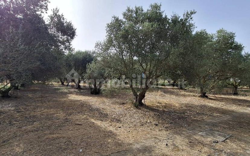 Villa unifamiliare Sp3, Decimoputzu — foto 10 di 16