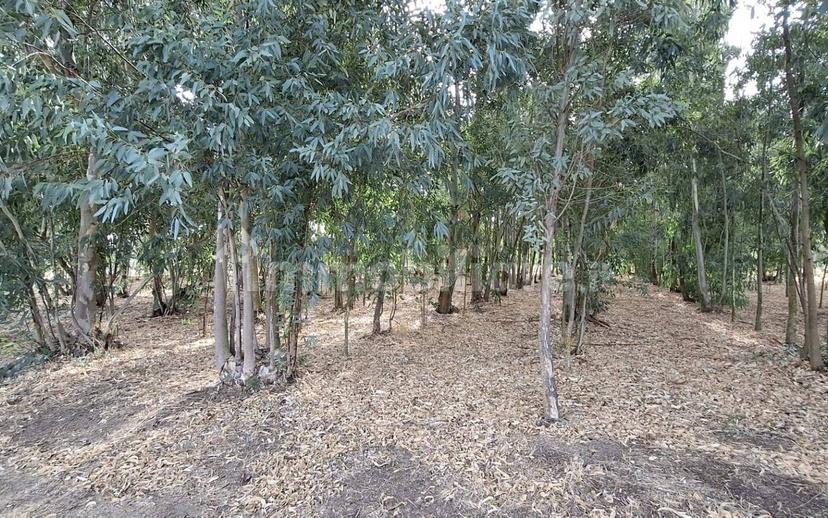 Villa unifamiliare Sp3, Decimoputzu — foto 13 di 16