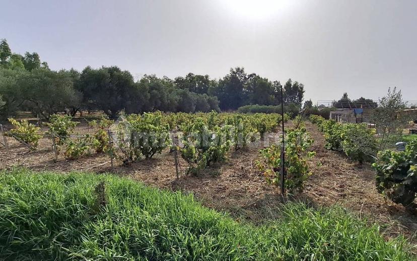 Villa unifamiliare Sp3, Decimoputzu — foto 9 di 16