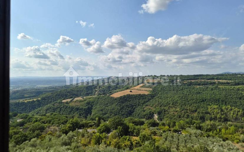 Terratetto unifamiliare via Castellana, Penna in Teverina — foto 20 di 32