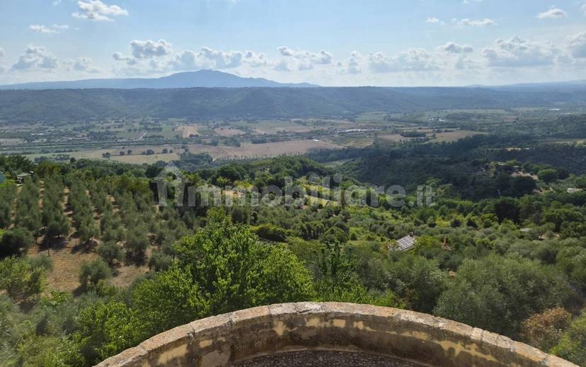 Terratetto unifamiliare via Castellana, Penna in Teverina — foto 15 di 32