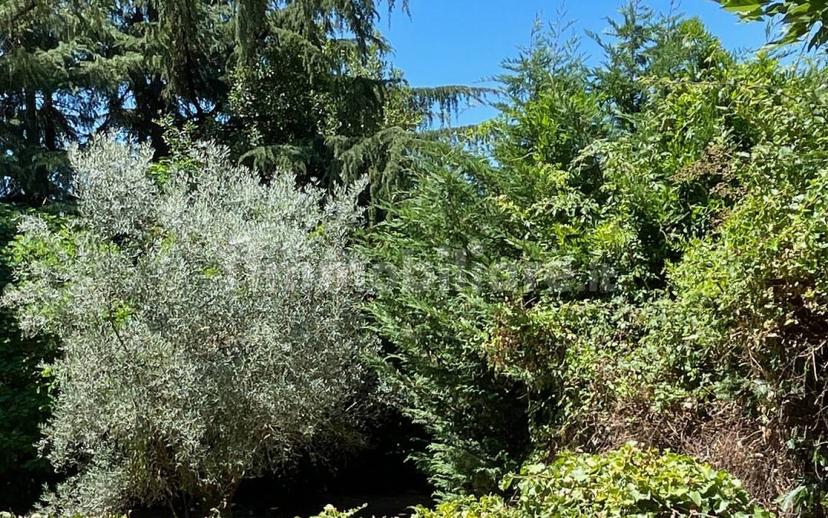 Villa unifamiliare via Passeggiata San Giovanni 86, Norma — foto 5 di 13