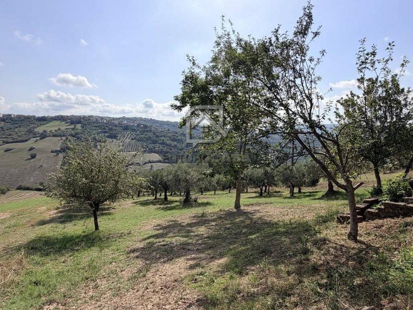 Terratetto unifamiliare Contrada Pianella, Sant'Arcangelo Trimonte — foto 17 di 32