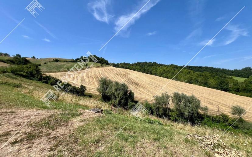 Cascina Località Marmarola, Lugagnano Val d'Arda — foto 39 di 43