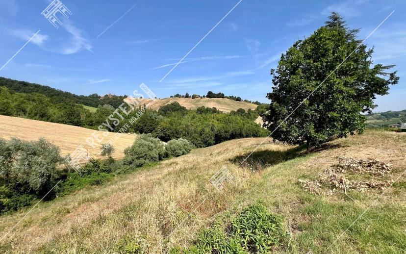 Cascina Località Marmarola, Lugagnano Val d'Arda — foto 32 di 43