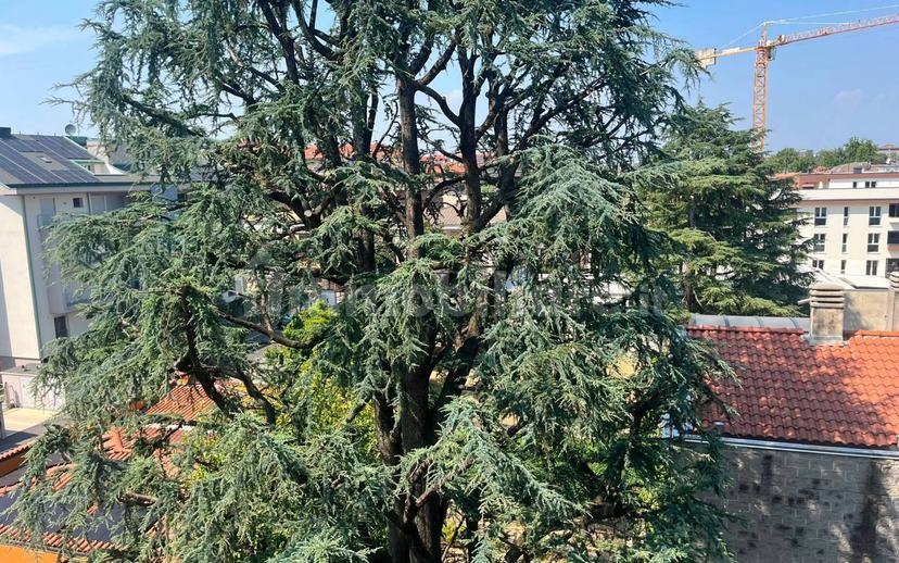 Attico via Cimabue 19, Buonarroti, Monza — foto 8 di 26
