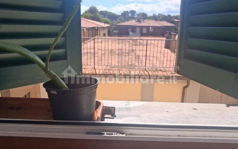 Trilocale Quercianella, Quercianella, Livorno — foto 12 di 14