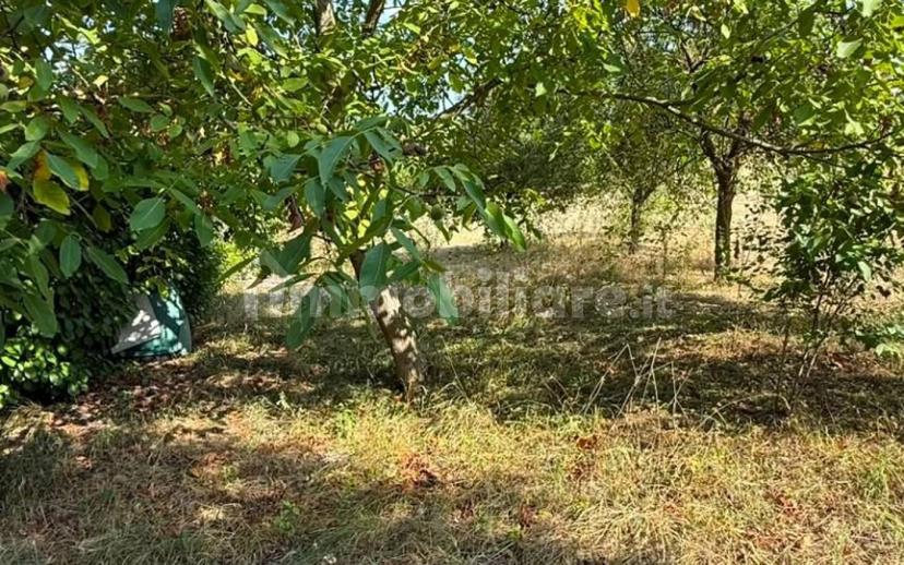 Terratetto plurifamiliare Cascine Baietto, Mombello Monferrato — foto 25 di 36