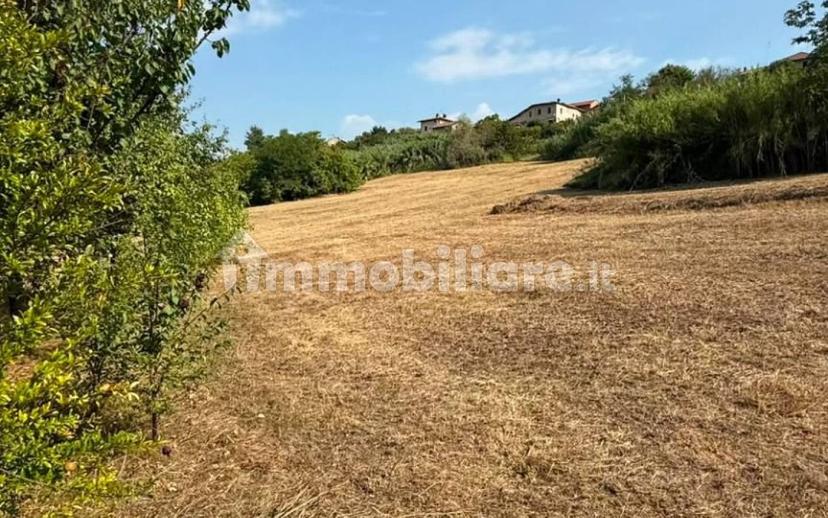 Terratetto plurifamiliare Cascine Baietto, Mombello Monferrato — foto 13 di 36