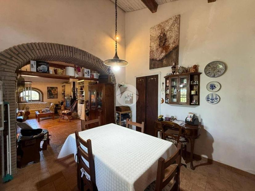 Terratetto unifamiliare Vocabolo Collazzo 44, Calvi dell'Umbria — foto 14 di 33