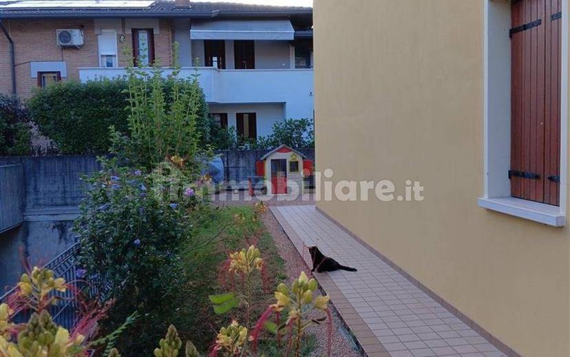 Trilocale ottimo stato, piano terra, Belvedere, Tezze sul Brenta — foto 9 di 14