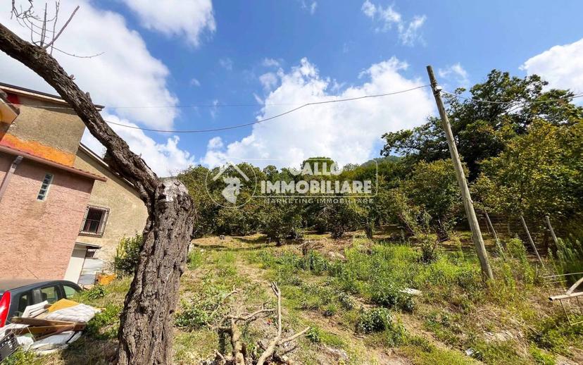 Casa colonica via Campi 36, Centro, Monteforte Irpino — foto 7 di 44