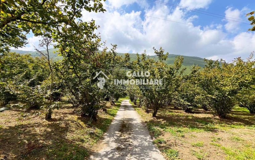 Casa colonica via Campi 36, Centro, Monteforte Irpino — foto 8 di 44