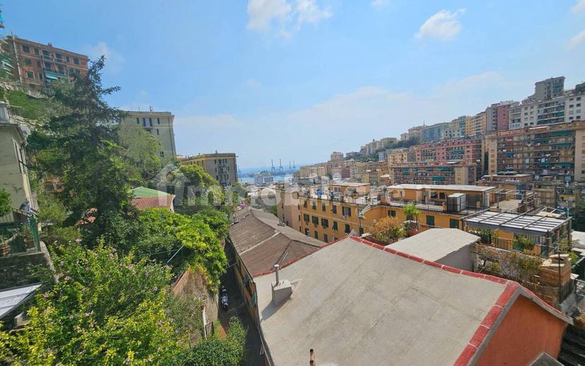 Terratetto plurifamiliare via dei Cinque Santi 17, Lagaccio, Genova — foto 19 di 65