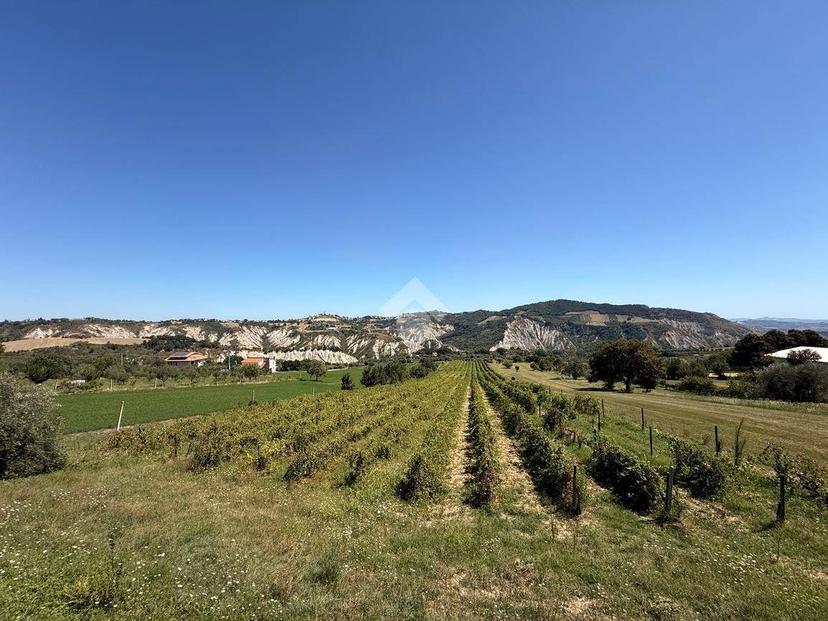 Quadrilocale via U. Tupini 14, Ripaberarda, Castignano — foto 12 di 34