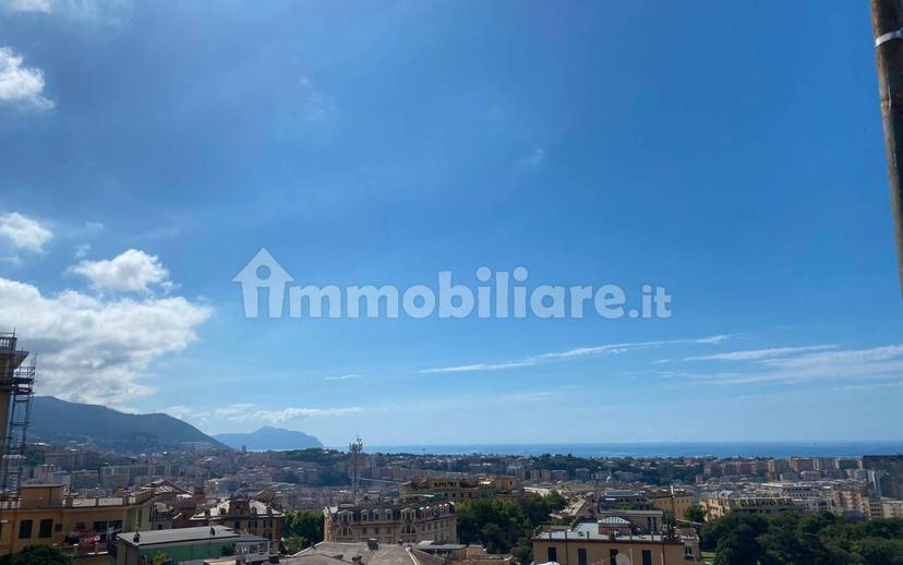 Attico via Contardo, Castelletto, Genova — foto 24 di 26