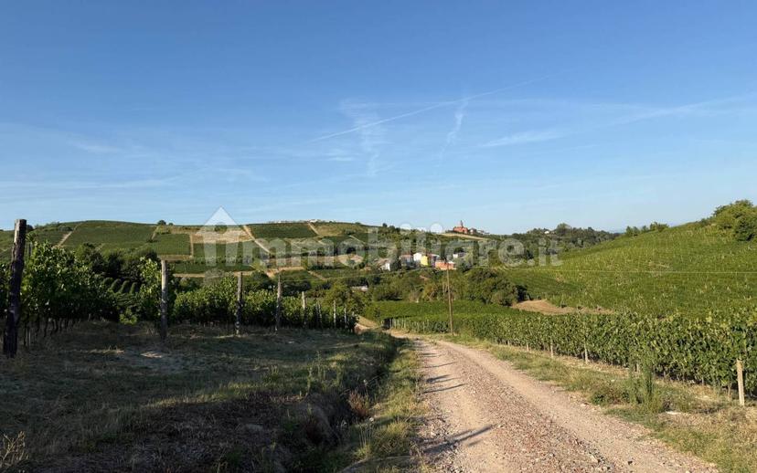 Cascina Strada Masino Inferiore 123, Cassine — foto 8 di 54