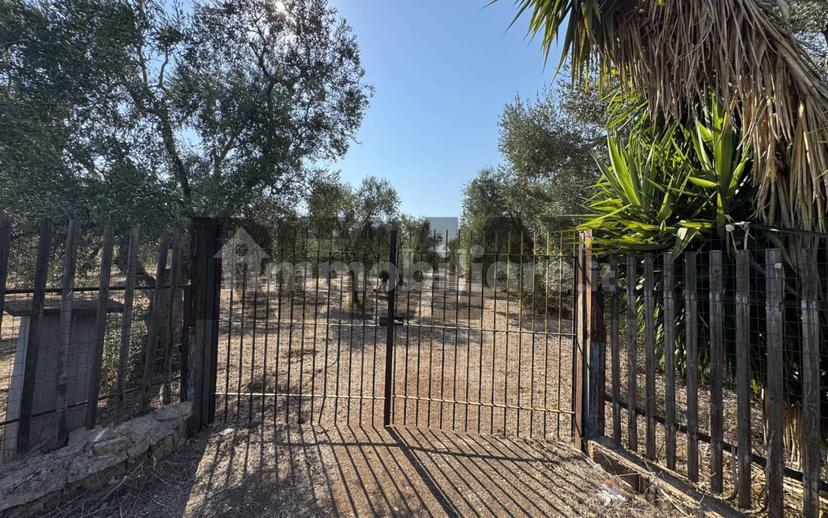 Villa unifamiliare via Filieri snc, Bitonto — foto 2 di 6