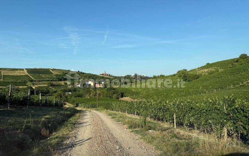 Cascina Strada Masino Inferiore 123, Cassine — foto 52 di 54
