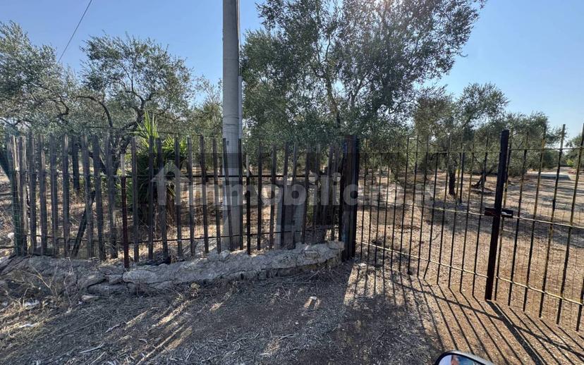 Villa unifamiliare via Filieri snc, Bitonto — foto 4 di 6