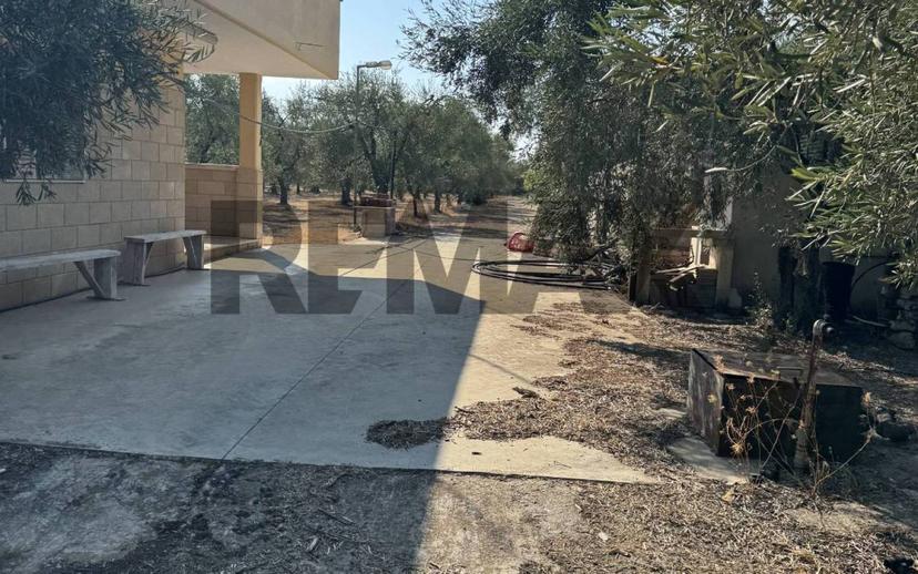 Villa unifamiliare via Filieri snc, Bitonto — foto 5 di 6