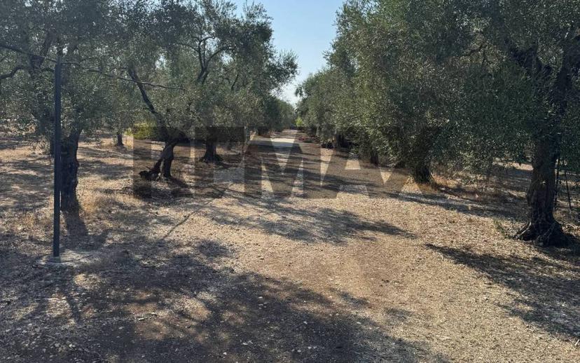 Villa unifamiliare via Filieri snc, Bitonto — foto 3 di 6