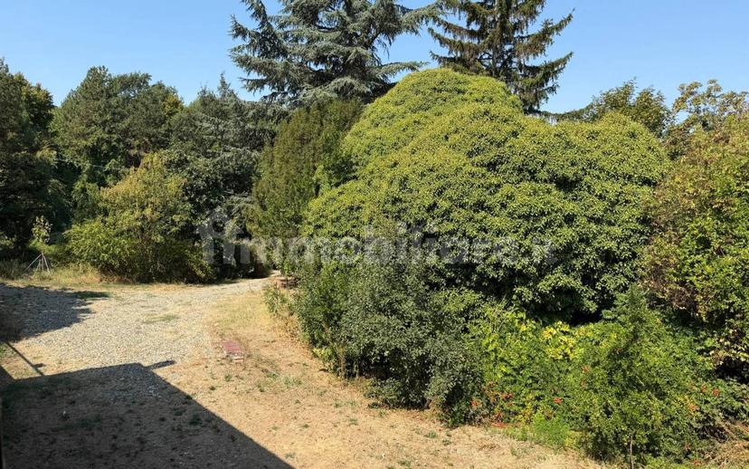 Cascina Strada Masino Inferiore 123, Cassine — foto 12 di 54