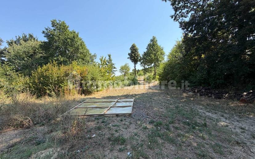 Cascina Strada Masino Inferiore 123, Cassine — foto 5 di 54