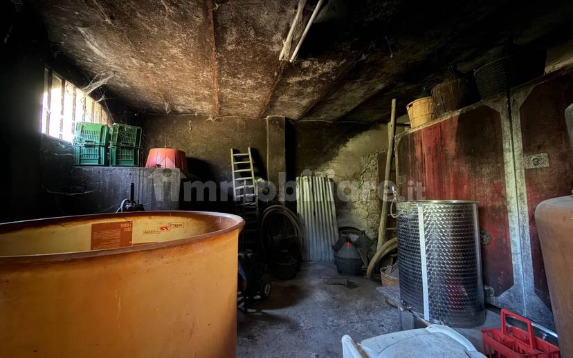 Cascina Strada Masino Inferiore 123, Cassine — foto 16 di 54