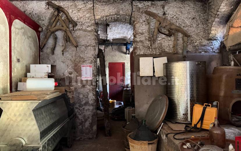 Cascina Strada Masino Inferiore 123, Cassine — foto 42 di 54