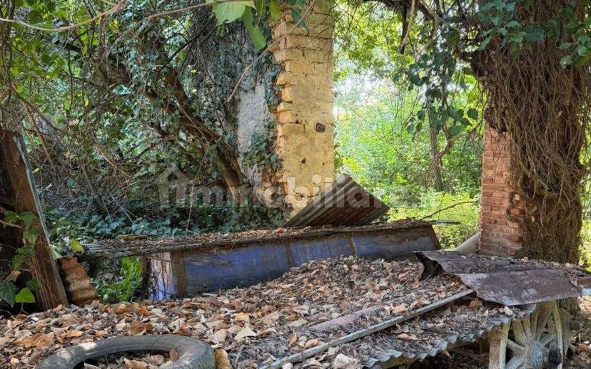 Cascina Strada Masino Inferiore 123, Cassine — foto 23 di 54