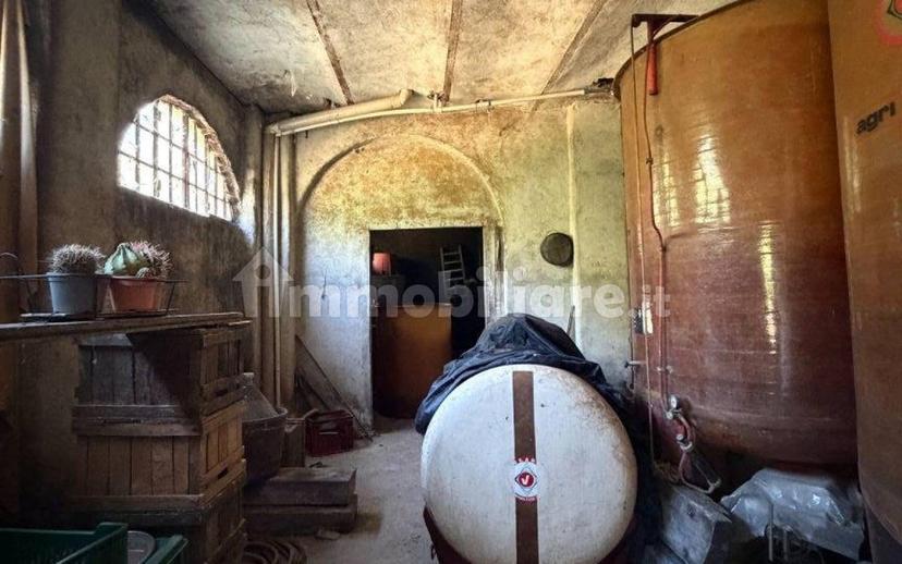 Cascina Strada Masino Inferiore 123, Cassine — foto 32 di 54